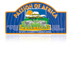 009. Passion of africa LOGO