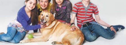 Het_Groot_Diabetesboek